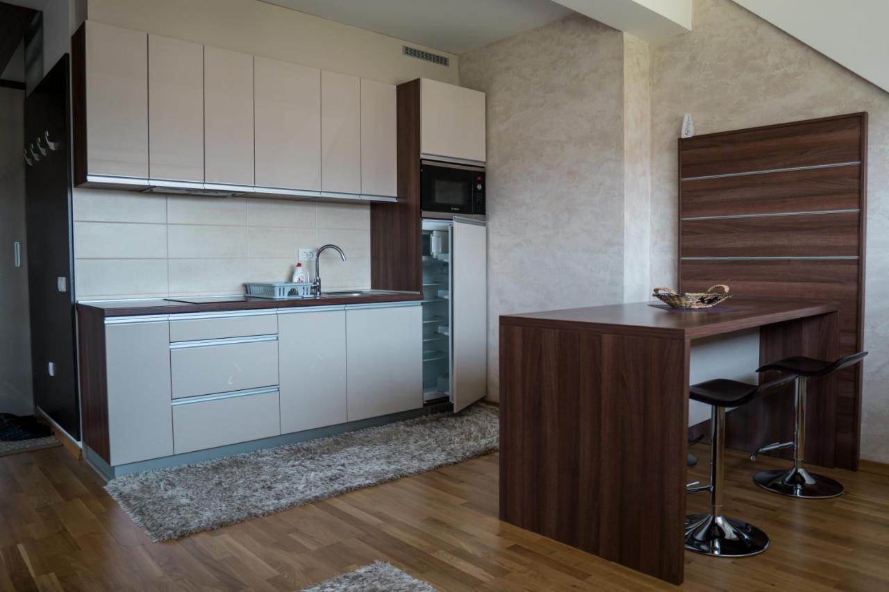 Vila Jezero 科帕奥尼克 外观 照片